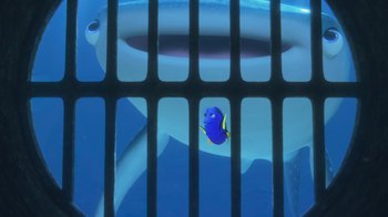 Movie still from “Finding Dory” (2016), directed by Angus MacLane – An image of an animal in the water behind a fence; Wide shot, Over the shoulder angle
