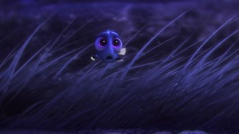 Movie still from “Finding Dory” (2016), directed by Angus MacLane – A small blue fish in the grass at night; Wide shot, High angle