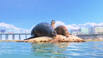 Movie still from “Finding Dory” (2016), directed by Angus MacLane – A couple of animals laying on top of a body of water; Wide shot, High angle