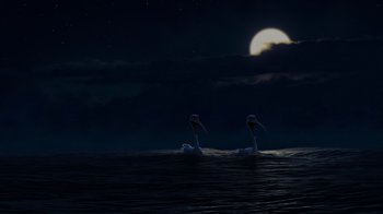Movie still from “Finding Nemo” (2003), directed by Andrew Stanton – A couple of birds floating on top of a body of water at night; Extreme Wide shot, Low angle