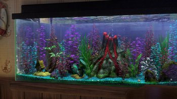 Movie still from “Finding Nemo” (2003), directed by Andrew Stanton – A fish tank filled with lots of plants and rocks; Wide shot, High angle