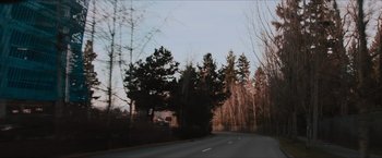 Movie still from “Flight/Risk” (2022), directed by Karim Amer – A view of a road with trees on both sides of the road; Extreme Wide shot, Low angle
