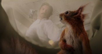 Movie still from “Flora & Ulysses” (2021), directed by Lena Khan – A squirrel is looking at a man's reflection in a mirror; Extreme Close Up shot, Over the shoulder angle
