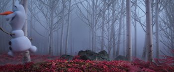 Movie still from “Frozen II” (2019), directed by Jennifer Lee – A foggy forest with a bunch of red leaves on the ground; Extreme Wide shot, High angle