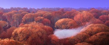 Movie still from “Frozen II” (2019), directed by Jennifer Lee – An oil painting of trees in the middle of a forest; Extreme Wide shot, High angle