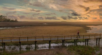 Movie still from “Gemini Man” (2019), directed by Ang Lee – A person standing on a bridge over a body of water; Extreme Wide shot, High angle