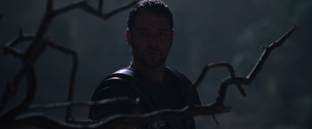 Movie still from “Gladiator” (2000), directed by Ridley Scott – A man with a beard wearing a black shirt; Close Up shot, Low angle