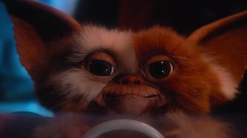Movie still from “Gremlins” (1984), directed by Joe Dante – The face of a stuffed animal; Close Up shot, Low angle
