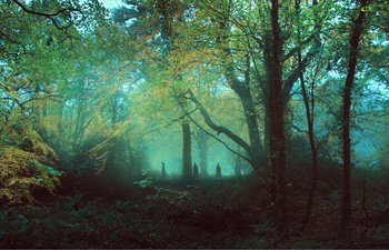 Movie still from “Gretel & Hansel” (2020), directed by Oz Perkins – A forest with trees and a lot of green leaves; Extreme Wide shot, Low angle