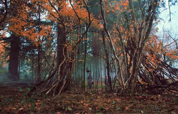 Movie still from “Gretel & Hansel” (2020), directed by Oz Perkins – A person standing in the middle of a forest; Extreme Wide shot, High angle