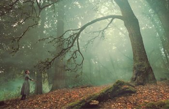 Movie still from “Gretel & Hansel” (2020), directed by Oz Perkins – A tree in the middle of a forest filled with leaves; Extreme Wide shot, Low angle