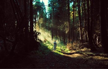 Movie still from “Gretel & Hansel” (2020), directed by Oz Perkins – A person walking through a forest with sunlight coming through the trees; Extreme Wide shot, Low angle