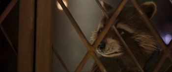 Movie still from “Guardians of the Galaxy Vol. 2” (2017), directed by James Gunn – A dog behind a fence; Extreme Close Up shot, Over the shoulder angle