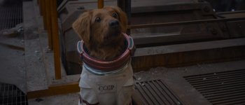 Movie still from “Guardians of the Galaxy Vol. 3” (2023), directed by James Gunn – A dog wearing a space suit sitting on the ground; Close Up shot, High angle