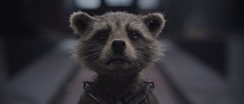 Movie still from “Guardians of the Galaxy Vol. 3” (2023), directed by James Gunn – The face of a raccoon dog; Close Up shot, Low angle