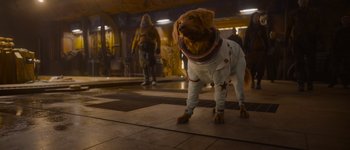 Movie still from “Guardians of the Galaxy Vol. 3” (2023), directed by James Gunn – A dog wearing a space suit is standing in front of a person; Wide shot, Over the shoulder angle