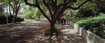 Movie still from “Halloween” (1978), directed by John Carpenter – Three people walking down a sidewalk under a large tree; Extreme Wide shot, High angle