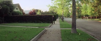 Movie still from “Halloween” (1978), directed by John Carpenter – A person walking down a sidewalk next to a hedge; Extreme Wide shot, High angle