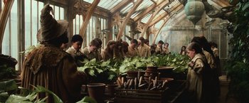 Movie still from “Harry Potter and the Chamber of Secrets” (2002), directed by Chris Columbus – A group of young people standing around plants; Wide shot, High angle