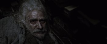 Movie still from “Harry Potter and the Deathly Hallows: Part 1” (2010), directed by David Yates – An old man with long white hair and a beard; Close Up shot, High angle