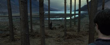Movie still from “Harry Potter and the Deathly Hallows: Part 1” (2010), directed by David Yates – A person standing in the middle of a forest near a body of water; Extreme Wide shot, High angle