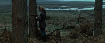 Movie still from “Harry Potter and the Deathly Hallows: Part 1” (2010), directed by David Yates – A woman standing next to a tree in a field; Wide shot, Over the shoulder angle
