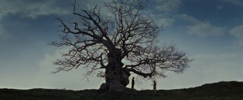 Movie still from “Harry Potter and the Deathly Hallows: Part 2” (2011), directed by David Yates – Two people standing in front of a large tree; Extreme Wide shot, Low angle