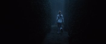 Movie still from “Harry Potter and the Goblet of Fire” (2005), directed by Mike Newell – A person walking in the dark in a forest; Wide shot, High angle