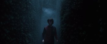 Movie still from “Harry Potter and the Goblet of Fire” (2005), directed by Mike Newell – A man walking through a forest in the dark; Wide shot, High angle