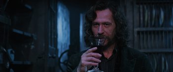 Movie still from “Harry Potter and the Order of the Phoenix” (2007), directed by David Yates – A man drinking a glass of red wine; Close Up shot, Low angle