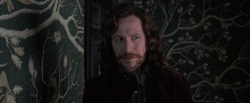 Movie still from “Harry Potter and the Order of the Phoenix” (2007), directed by David Yates – A person with long curly hair; Close Up shot, Low angle