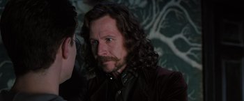 Movie still from “Harry Potter and the Order of the Phoenix” (2007), directed by David Yates – A person with long hair and a beard; Close Up shot, Over the shoulder angle