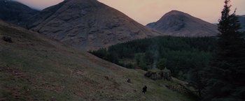 Movie still from “Harry Potter and the Order of the Phoenix” (2007), directed by David Yates – A person walking up a hill near some trees; Extreme Wide shot, High angle
