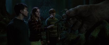Movie still from “Harry Potter and the Order of the Phoenix” (2007), directed by David Yates – A woman and a man standing next to each other in a forest; Medium shot, Over the shoulder angle