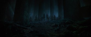 Movie still from “Harry Potter and the Order of the Phoenix” (2007), directed by David Yates – A group of people standing in the woods at night; Extreme Wide shot, Low angle