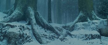 Movie still from “Harry Potter and the Prisoner of Azkaban” (2004), directed by Alfonso Cuarón – A snowy forest scene with trees and rocks; Extreme Wide shot, Low angle