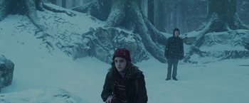 Movie still from “Harry Potter and the Prisoner of Azkaban” (2004), directed by Alfonso Cuarón – Two people standing in the middle of a snowy forest; Wide shot, High angle