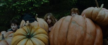 Movie still from “Harry Potter and the Prisoner of Azkaban” (2004), directed by Alfonso Cuarón – Two people standing behind a group of giant pumpkins; Medium shot, High angle