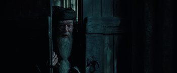 Movie still from “Harry Potter and the Prisoner of Azkaban” (2004), directed by Alfonso Cuarón – A man with long grey hair and a long beard; Medium shot, Over the shoulder angle
