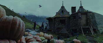 Movie still from “Harry Potter and the Prisoner of Azkaban” (2004), directed by Alfonso Cuarón – A group of people standing next to a pile of pumpkins; Extreme Wide shot, High angle