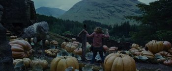 Movie still from “Harry Potter and the Prisoner of Azkaban” (2004), directed by Alfonso Cuarón – A person standing in a field of pumpkins; Wide shot, Over the shoulder angle