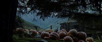 Movie still from “Harry Potter and the Prisoner of Azkaban” (2004), directed by Alfonso Cuarón – Many pumpkins in the field; Extreme Wide shot, High angle