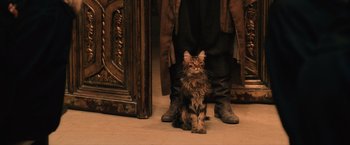 Movie still from “Harry Potter and the Sorcerer's Stone” (2001), directed by Chris Columbus – A cat sitting on the floor next to a person's legs; Medium shot, Low angle