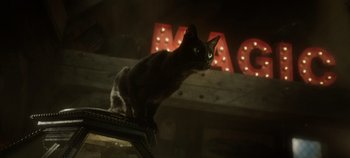 Movie still from “Hocus Pocus 2” (2022), directed by Anne Fletcher – A cat sitting on the hood of a car in front of a neon sign; Close Up shot, Low angle