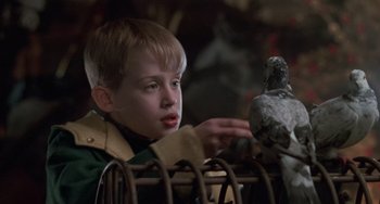 Movie still from “Home Alone 2: Lost in New York” (1992), directed by Chris Columbus – A young boy holding a bird in his hand; Close Up shot, Low angle