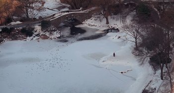 Movie still from “Home Alone 2: Lost in New York” (1992), directed by Chris Columbus – A person standing on a frozen river in the snow; Extreme Wide shot, High angle