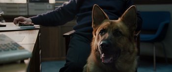 Movie still from “Hot Fuzz” (2007), directed by Edgar Wright – A dog sitting on a person's lap; Close Up shot, High angle