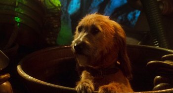 Movie still from “How the Grinch Stole Christmas” (2000), directed by Ron Howard – A brown dog sitting in a bowl looking up at the sky; Close Up shot, High angle