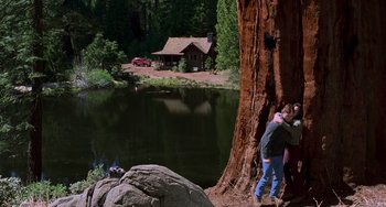 Movie still from “Hulk” (2003), directed by Ang Lee – Two people standing next to a tree near a body of water; Extreme Wide shot, High angle