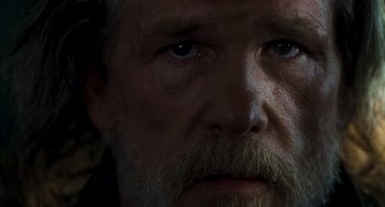 Movie still from “Hulk” (2003), directed by Ang Lee – A man with a beard and mustache; Close Up shot, Low angle